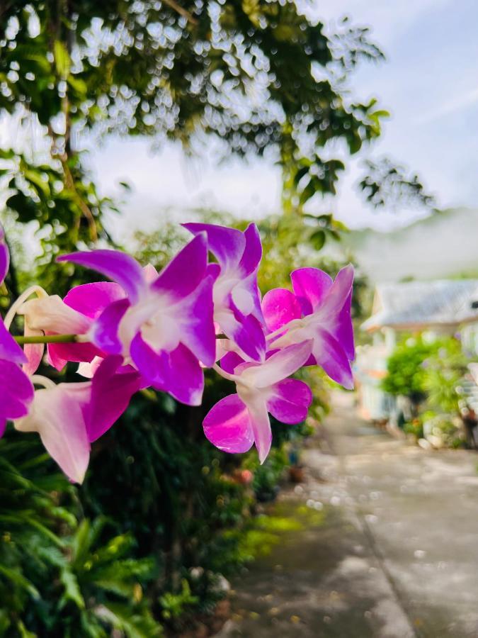 Suriyan Villa Erawan Kanchanaburi สุริยัน วิลล่า เอราวัณ กาญจนบุรี Tha Kradan Exterior foto